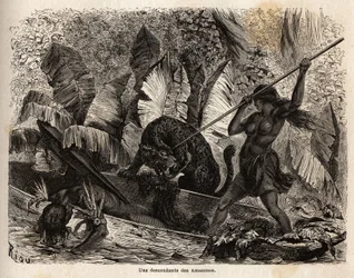 Indiano ticuna (Perù) che attacca con una lancia una tigre che è appena saltata nella sua canoa e ha ferito il suo compagno, i ticuna del fiume Nhamondas sono rinomati per le loro mogli guerriere, quindi i primi viaggiatori e studiosi che li hanno osservat