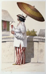 Indigeno dell
