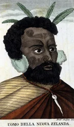Nativo Maori della Nuova Zelanda. Incisione del XIX secolo