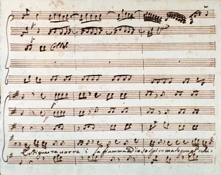 Pagina della partitura musicale di Estinguere vorrei aria nell