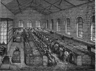 Fabbricazione della carta nel XIX secolo