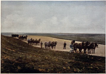 Aratura nelle pianure del Manitoba (Canada), fine XIX secolo