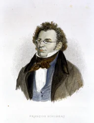 Ritratto di Franz Schubert (1797 - 1828) - incisione