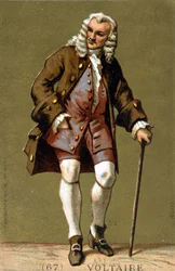 Ritratto di Voltaire a piedi