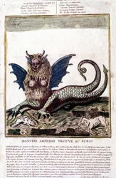 Rappresentazione di un mostro trovato in un lago del Perù: ha un volto umano, corna, ali di drago, criniera di leone, corpo di rettile, seno di donna. Stampa popolare del XVIII secolo