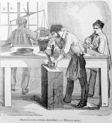 Real Fabbrica di Tabacco: il sacco di tabacco. Incisione del XIX secolo.