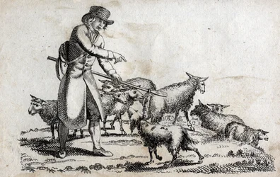 Pastore con il suo gregge di pecore. Incisione fine XVIII secolo.