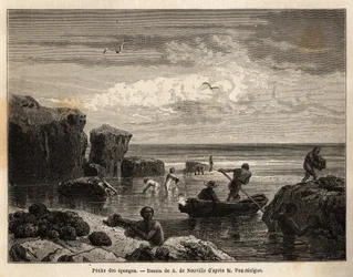 Pesca di spugne dagli isolani dell