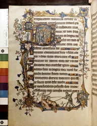 La Quercia e un Unicorno, Illustrazione dal 