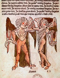 La costellazione dei Gemelli (dettaglio) da 
