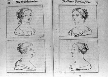 I diversi profili femminili Pagina tratta da "Tractatus physiologicus de pulchritudine" di Ernesto Venio (Ernestus Vaenius) difendendo la bellezza della creazione contro un anonimo avversario. 1612