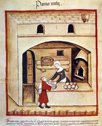 La preparazione del pane con il miglio. Miniatura dal Tacuinum sanitatis