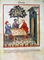 Trattato di medicina: "ubriachezza" Pagina tratta da "Tacuinum sanitatis" (Cod. ser. nov. 2644) Circa 1400