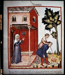 Trattato di medicina "Tacuinum sanitatis" del XIV secolo: vomito. B.N, Vienna.