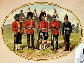 Tipi dell