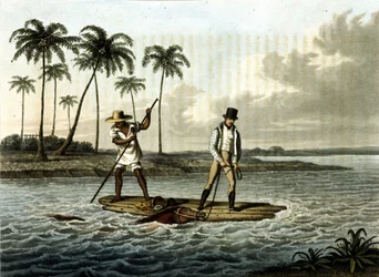 Immagine sconosciuta