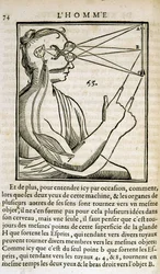 Immagine sconosciuta