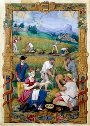Immagine sconosciuta