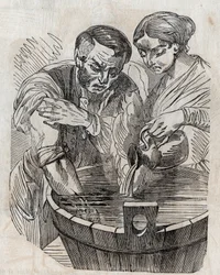 Immagine sconosciuta