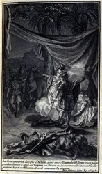 Immagine sconosciuta
