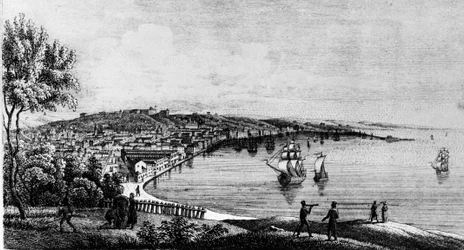Veduta del porto della città di Trieste (in periodo austriaco), incisione del XIX secolo