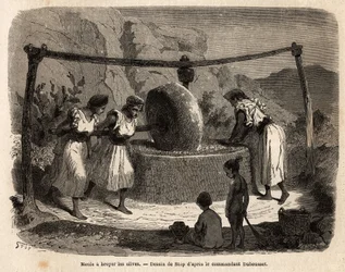 Lavoro femminile, macinazione delle olive, uno dei principali prodotti agricoli della Cabilia del Djurdjura, Algeria. Incisione per illustrare l