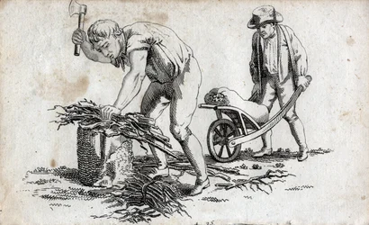 Boscaioli che fanno fasci di legna e uomo che trasporta fasci su una carriola. Incisione di fine XVIII secolo. Collezione privata.