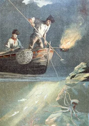 Pesca di polpi