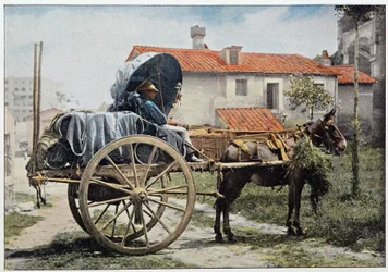 Un carrettiere che trasporta il suo vino. Roma, Italia, fine XIX secolo