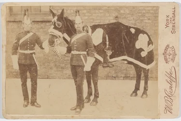 Un Cavallo del 3°