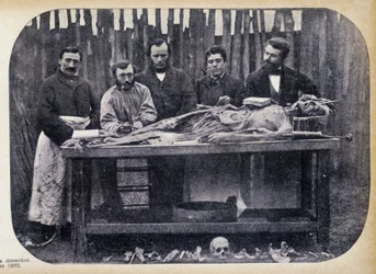 Dissezione, c.1865