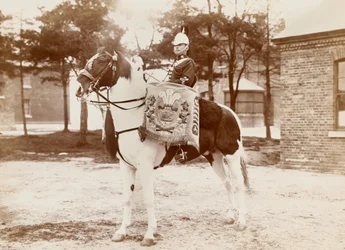 Cavallo Tamburo, 3° Dragoni del Principe di Galles, c.1895