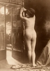 Ritratto nudo di una giovane donna vista da dietro