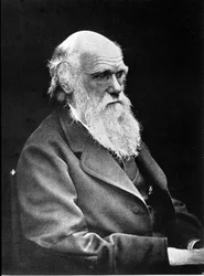 Ritratto fotografico di Charles Darwin (1809 - 1882), naturalista inglese. 1881