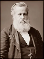 Ritratto di Dom Pedro II, imperatore del Brasile