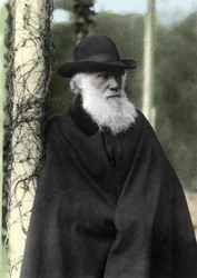 Ritratto fotografico di Charles Darwin, naturalista inglese nel 1881