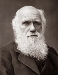 Il naturalista inglese Charles Robert Darwin (1809-1882)