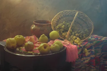 Raccolta dei frutti autunnali