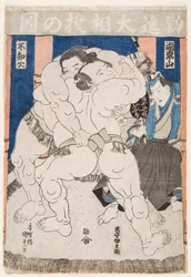 Combattimento di lottatori di sumo
