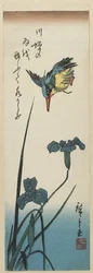 (Iris e Martin Pescatore), 1843-1847