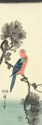 Pappagallo su albero di pino, 1847-1852