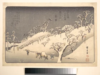 Asukayama sotto la neve serale