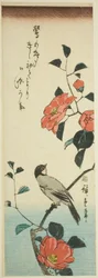 Fiori di camelia e ciuffolotto