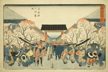 Stagione dei fiori di ciliegio a Nakanocho nello Yoshiwara (Yoshiwara Nakanocho sakura toki), dalla serie "Luoghi famosi di Edo (Edo meisho)"