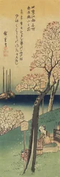 Fiori di ciliegio su Gotenyama, primavera