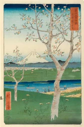 Fuji da Koshigaya, Mushashi, No.14 dalla serie 