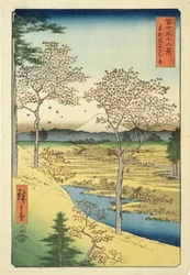 Il Fuji da Yuhi-Ga, Megwo, n. 10 della serie «36 vedute del Monte Fuji» («Fuji Saryu Rokkei»)
