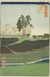 Collina di Goten a Shinagawa (Shinagawa Gotenyama), dalla serie "Cento vedute famose di Edo (Meisho Edo hyakkei)"