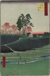 Collina di Gotenyama, Shinagawa, aprile 1856
