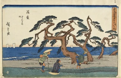 Hamamatsu: i pini sussurranti